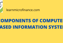 COMPONENTS OF COMPUTER BASED INFORMATION SYSTEM