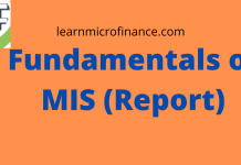 Fundamentals of MIS