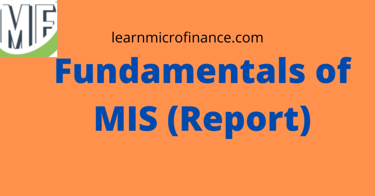 Fundamentals of MIS (Report)