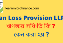 Loan Loss Provision LLP