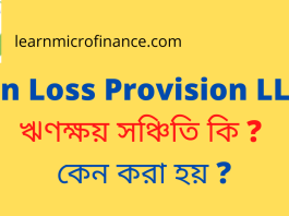 Loan Loss Provision LLP