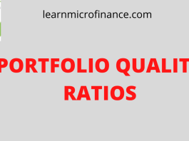 PORTFOLIO QUALITY RATIOS