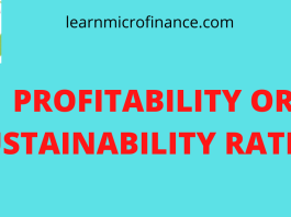 PROFITABILITY OR SUSTAINABILITY RATIOS