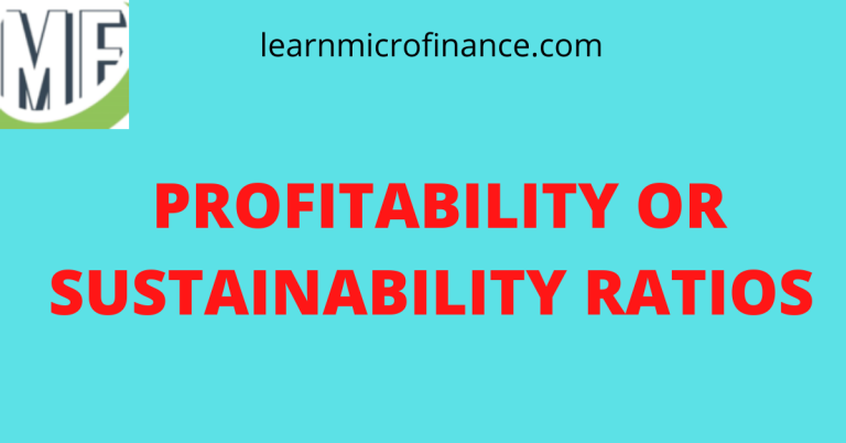 PROFITABILITY OR SUSTAINABILITY RATIOS